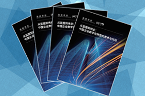 《从蓝图到伟业：中国企业数字化转型的思考与行动》